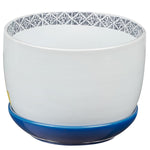 Ceramic Planter Pot and Detachable Blue Saucer