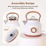 Retro Stainless Steel Tea Kettle with Large Temperature Gauge