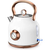 Retro Stainless Steel Tea Kettle with Large Temperature Gauge