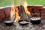 Lodge 10.25" Pre-Seasoned Iron Skillet