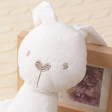 Baby Soft Plush Rabbit Doll