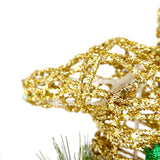 Christmas Reindeer with Pinecones & Lights (1-5 Day Delivery)