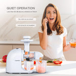 Professional Fruit and Vegetable Juicer