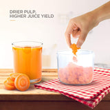 Professional Fruit and Vegetable Juicer