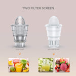 Professional Fruit and Vegetable Juicer